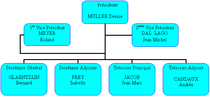 Organigramme hirarchique